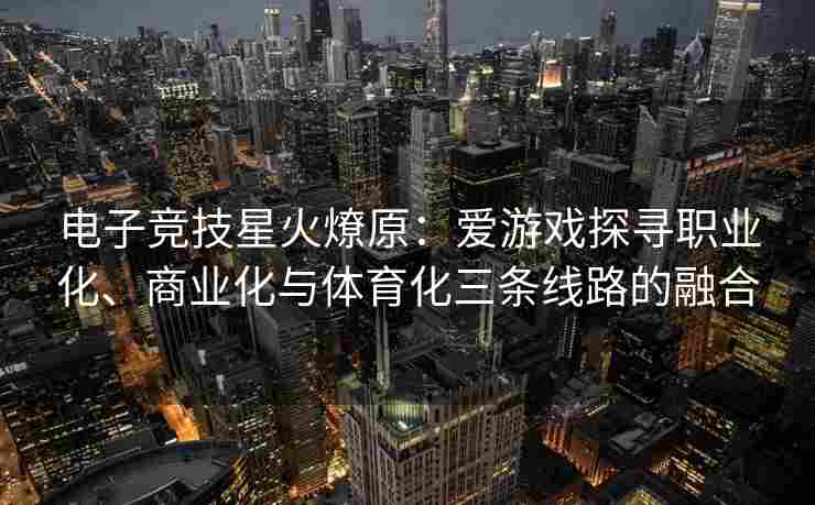 电子竞技星火燎原：爱游戏探寻职业化、商业化与体育化三条线路的融合
