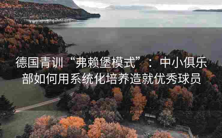 德国青训“弗赖堡模式”：中小俱乐部如何用系统化培养造就优秀球员