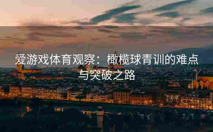 爱游戏体育观察：橄榄球青训的难点与突破之路